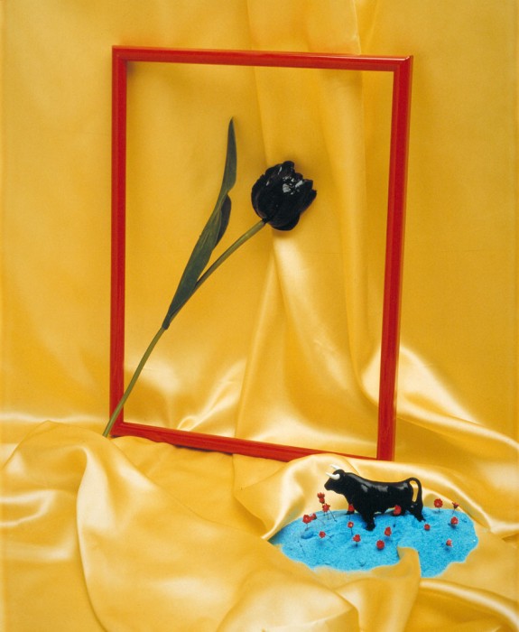 Tulipán negro. 1988. Polaroid 60x50 cm. 